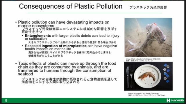 プラスチック汚染の影響
