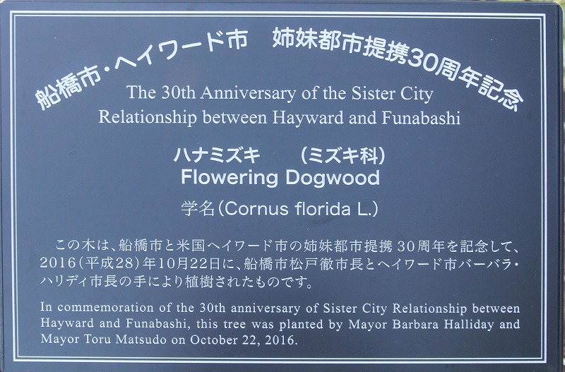 船橋市・ヘイワード市姉妹都市30周年記念植樹説明ボード
